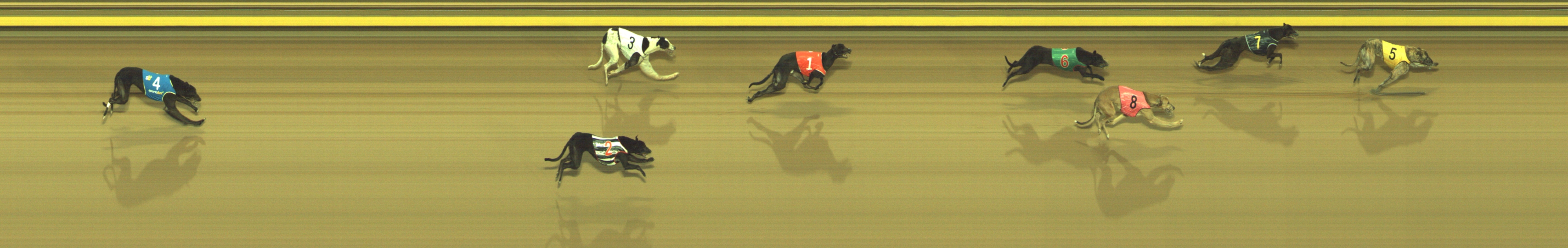 Race result finish photo